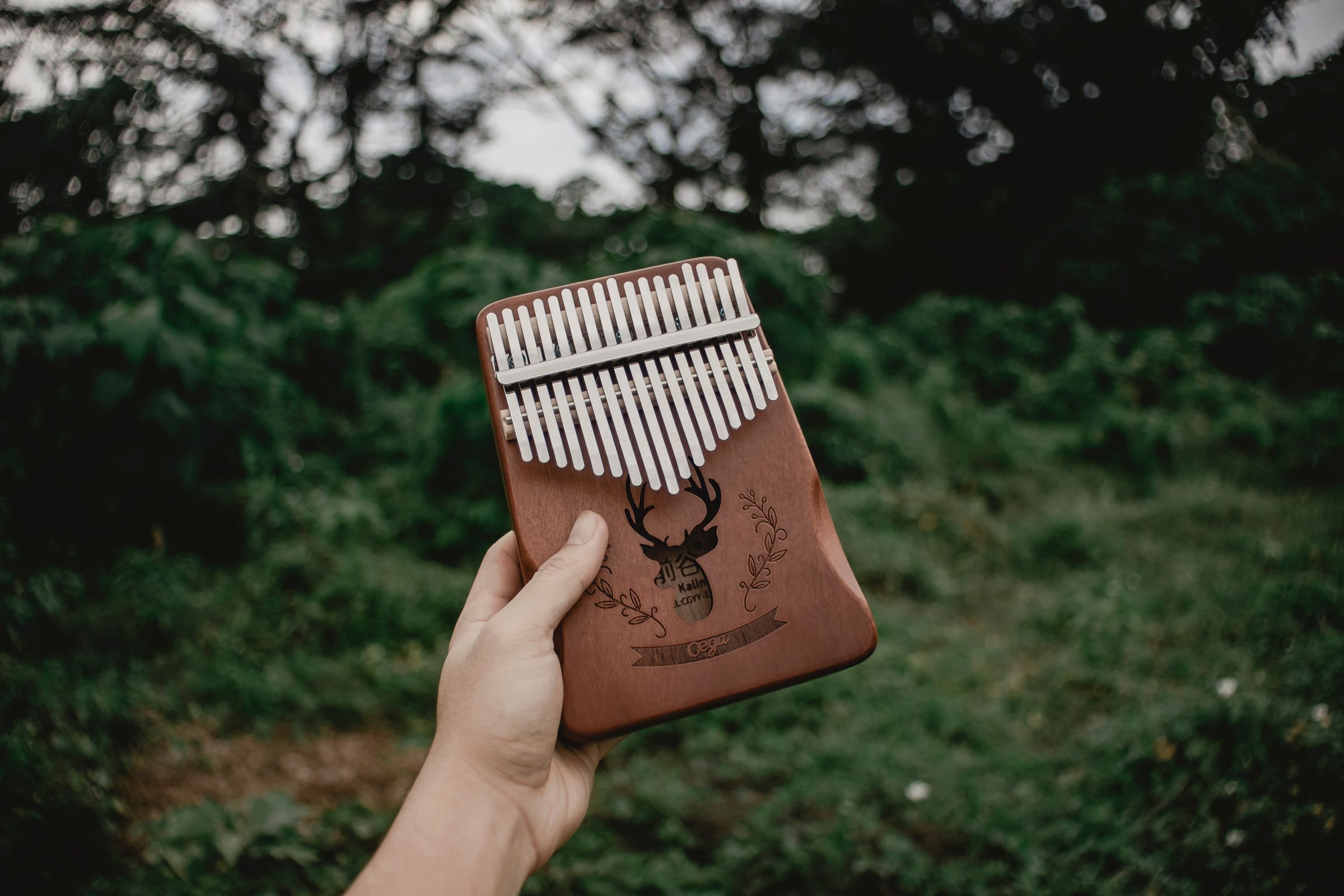 Kalimba en bois tenue entre les deux mains