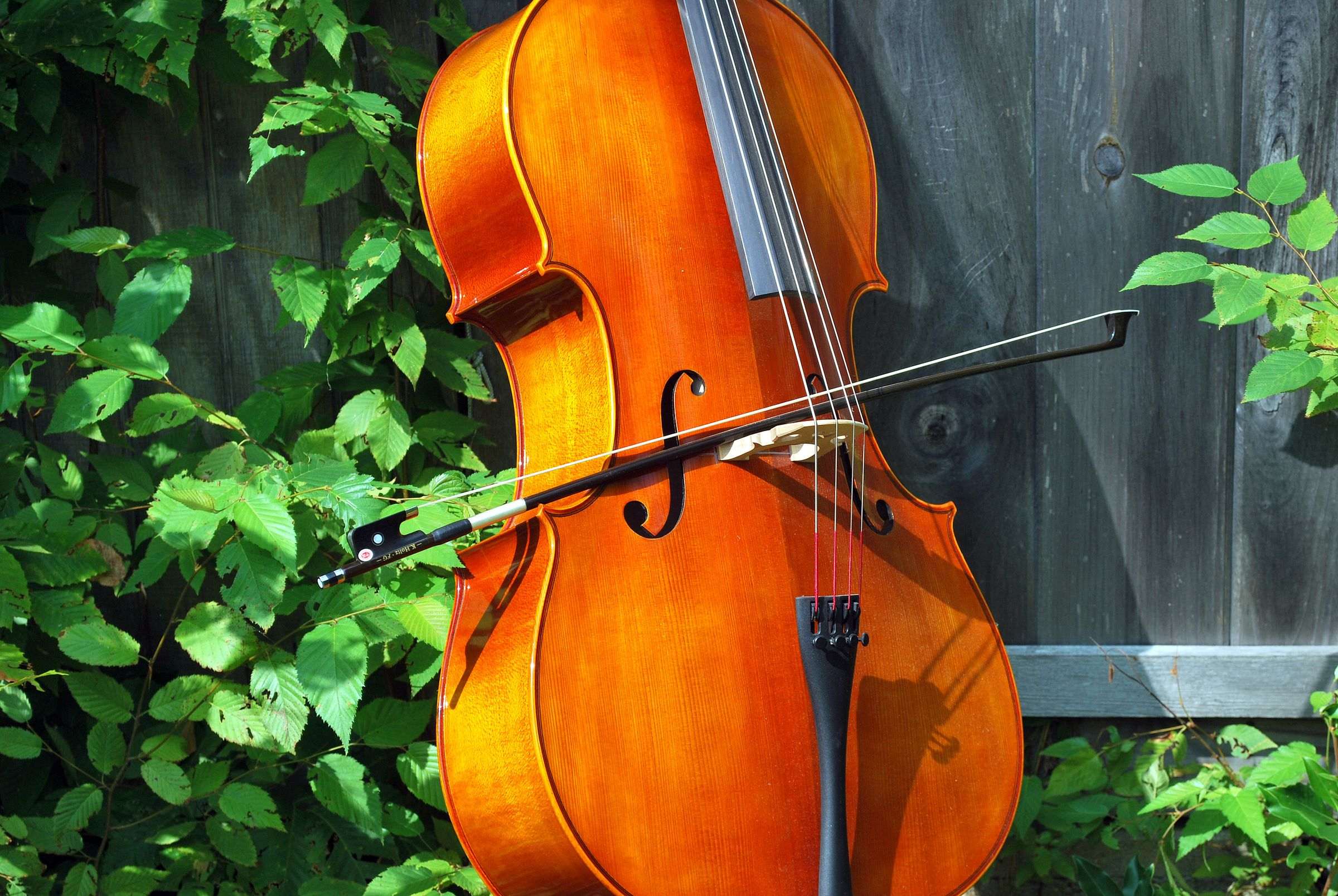 Violoncelle posé sur sa pique avec son archet